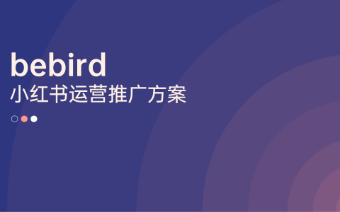 bebird小红书运营推广方案