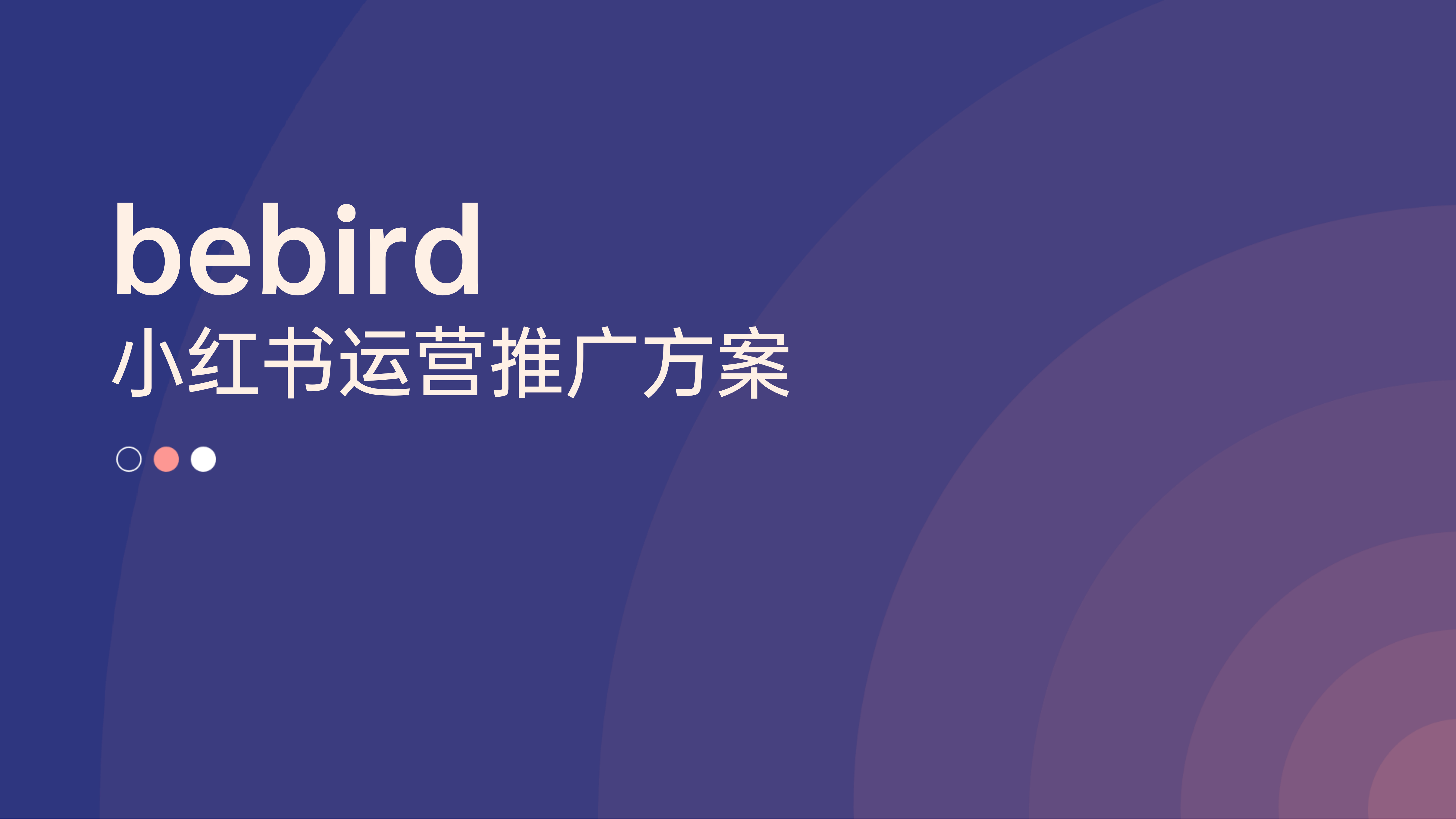 bebird小红书运营推广方案