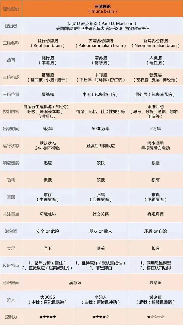 《100个思维模型系列》052.大脑系统思维模型