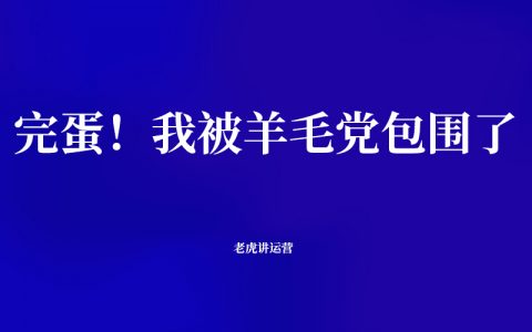 完蛋！我被羊毛党包围了