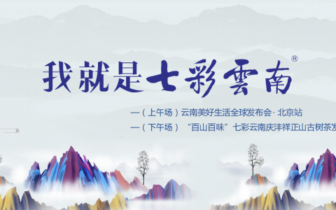 搜狗是如何在百度和Google占据大量市场份额的情况下越做越好的？
