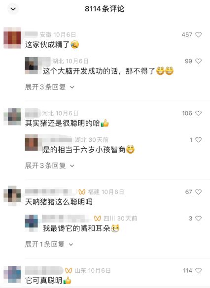 单月账号排名上升100+，视频号近期热门内容有哪些？