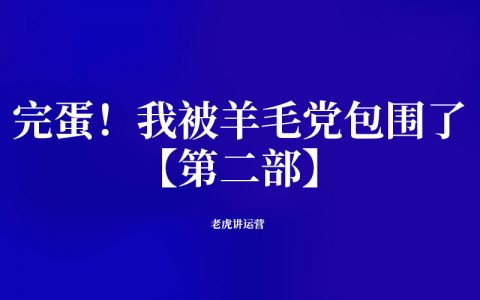 完蛋！我被羊毛党包围了【第二部】