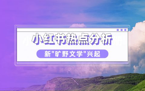 小红书热点数据分析！二创、造梗、利用算法，当代年轻人不再“上头”？