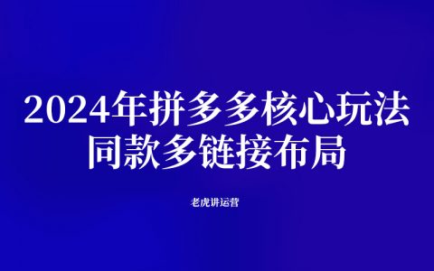 2024年拼多多核心玩法：同款多链接布局