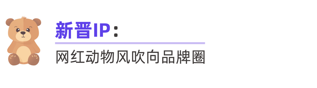 “联名”盛行，2024品牌的进场机会在哪里？