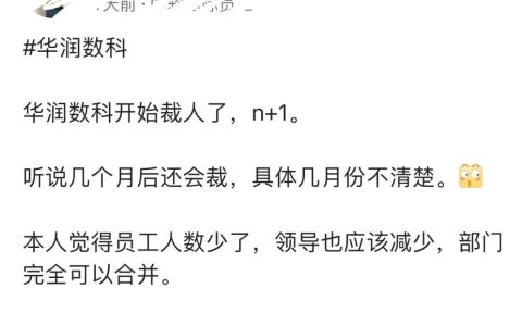 央企子公司华润数科被曝裁员了，赔偿N+1