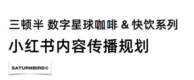 三顿半小红书内容传播规划