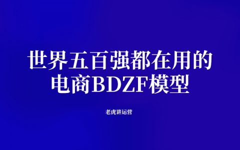 世界五百强都在用的：电商BDZF模型