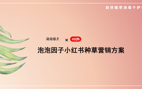 泡泡因子小红书种草营销方案