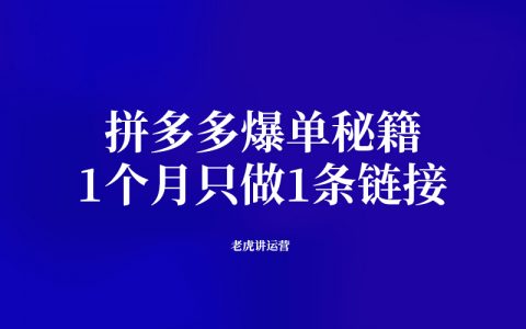 拼多多爆单秘籍：1个月只做1条链接