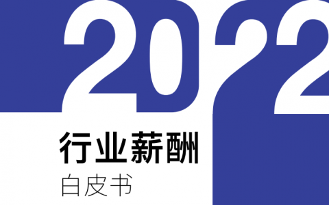 2023行业薪酬白皮书（薪智）