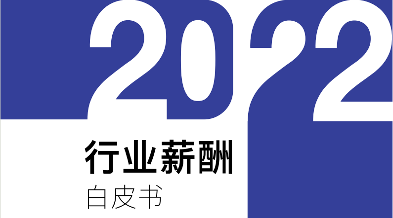 2023行业薪酬白皮书（薪智）