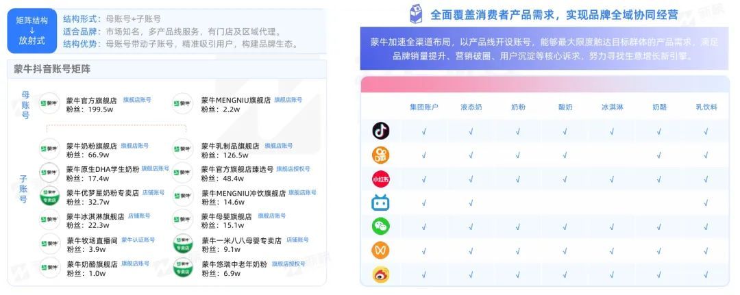矩阵通 | 2024企业新媒体品牌矩阵研究报告