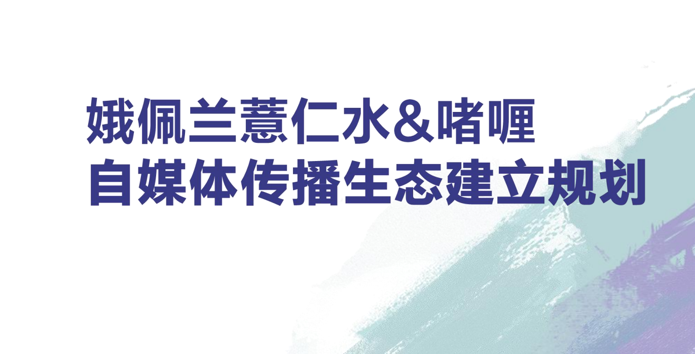 薏仁水&啫喱自媒体传播生态建立规划