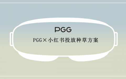 PGG小红书投放种草规划对外版本