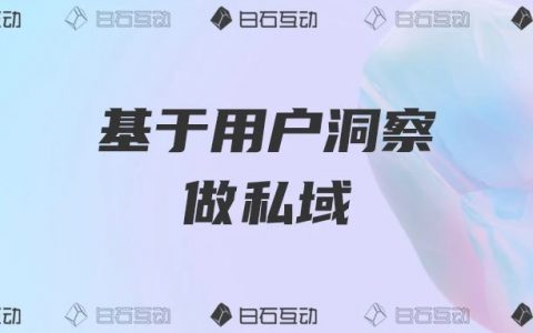 白石互动丨从用户洞察出发，打造符合企业底色的私域模式。