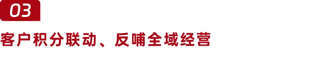 积分+私域，一次性解决私域客户活跃和转化！