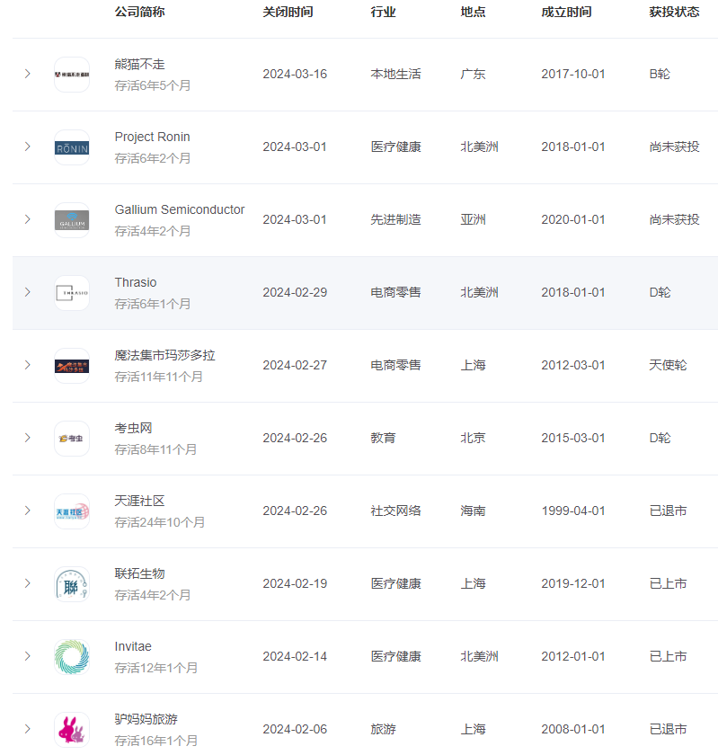 2024 年国内倒闭公司全貌总览