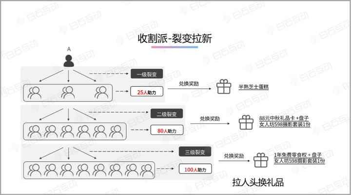 白石互动丨你的私域是在流量收割还是用户养成？