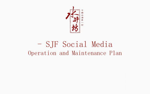 水井坊白酒年度新媒体运营全案.ppt