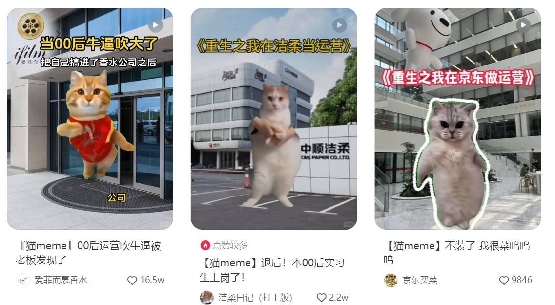 小红书数据分析：猫meme走红，助力品牌营销易如反掌！
