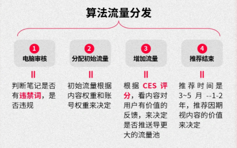 如何运营小红书?