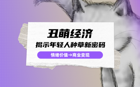数据分析：小红书黏土风走红，洞察年轻一代种草密码