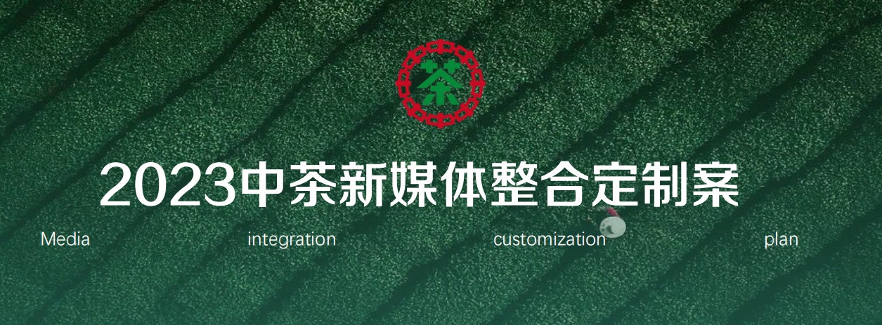 中茶新媒体整合定制案