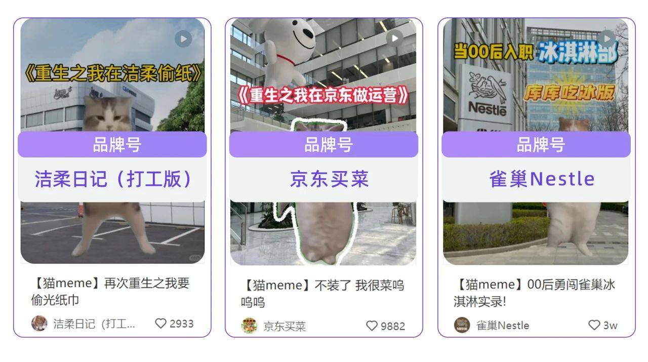 偷感、猫meme…捕捉小红书流量风口（第2季度）