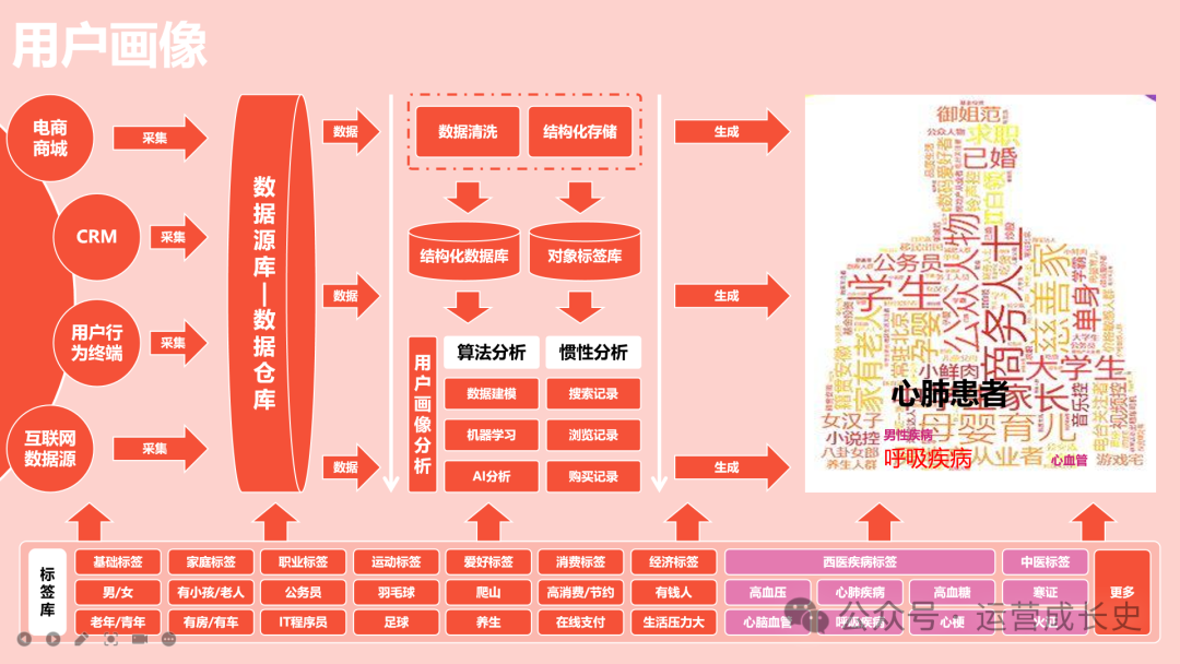 精选12个私域运营模型，希望能够帮到你！