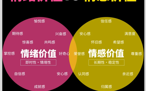 情绪价值 VS 情感价值