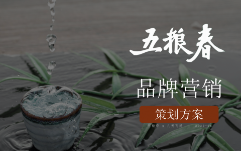 五粮春品牌营销案