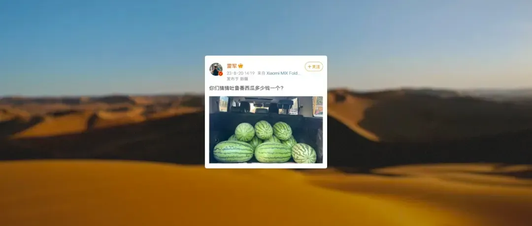 雷军2024年度演讲：人生不能后退