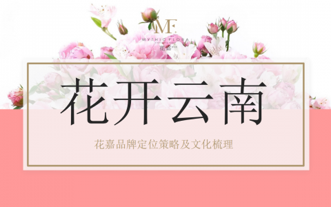 花嘉品牌定位及品牌文化梳理