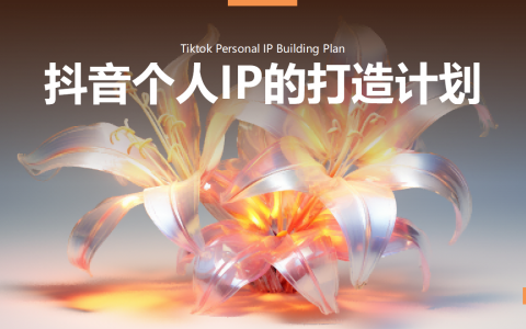 抖音个人IP的打造计划