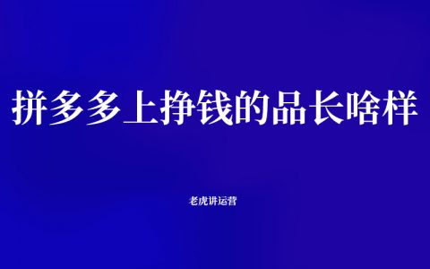 拼多多上挣钱的品长啥样