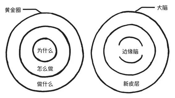 《100个思维模型系列》090.黄金圈思维模型