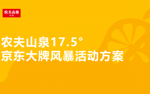 【农夫山泉】京东大牌风暴活动方案