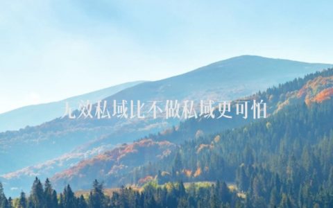 99%的私域都是“无效私域”，不如不做！