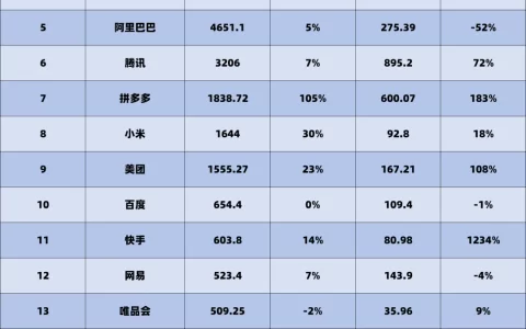 TOP20互联网公司营收和利润一览表