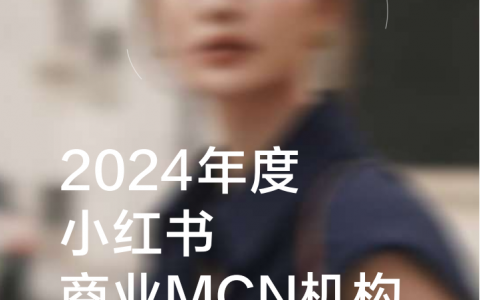 2024年度小红书商业MCN机构经营洞察
