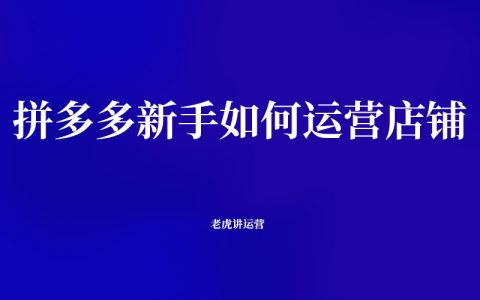 拼多多新手如何运营店铺