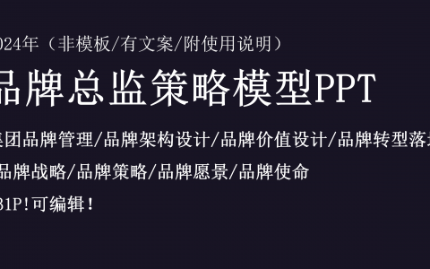 品牌总监策略模型PPT