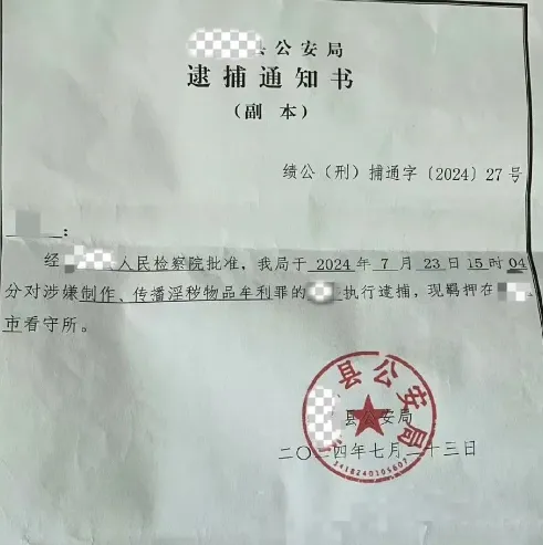海棠文学城重大运营事故，头部顶流作者被羁押