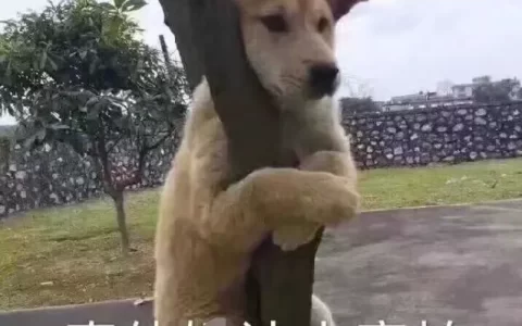 你还在偷偷浏览小网站吗？小心被问候！