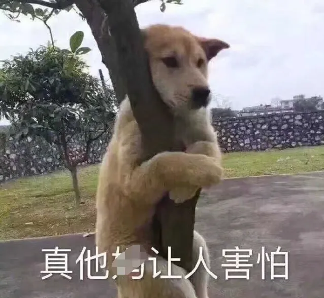 你还在偷偷浏览小网站吗？小心被问候！