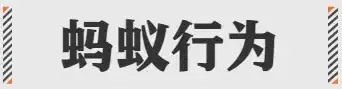 2024互联网大厂最新黑话