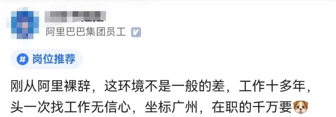 刚从阿里裸辞，发现外面工作真难找！