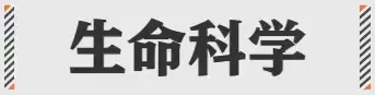 2024互联网大厂最新黑话